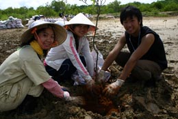 協働による植林